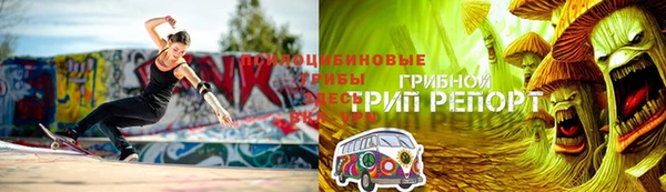 mdpv Надым