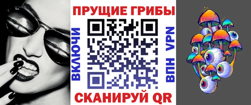 купить наркоту  мега зеркало  Псилоцибиновые грибы мицелий  Йошкар-Ола 